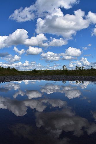 Reflectie op het meer in de herfst