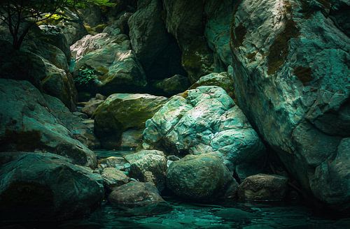 Hiking in the forest