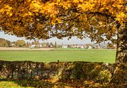 Herfst in Epen Zuid-Limburg van John Kreukniet thumbnail
