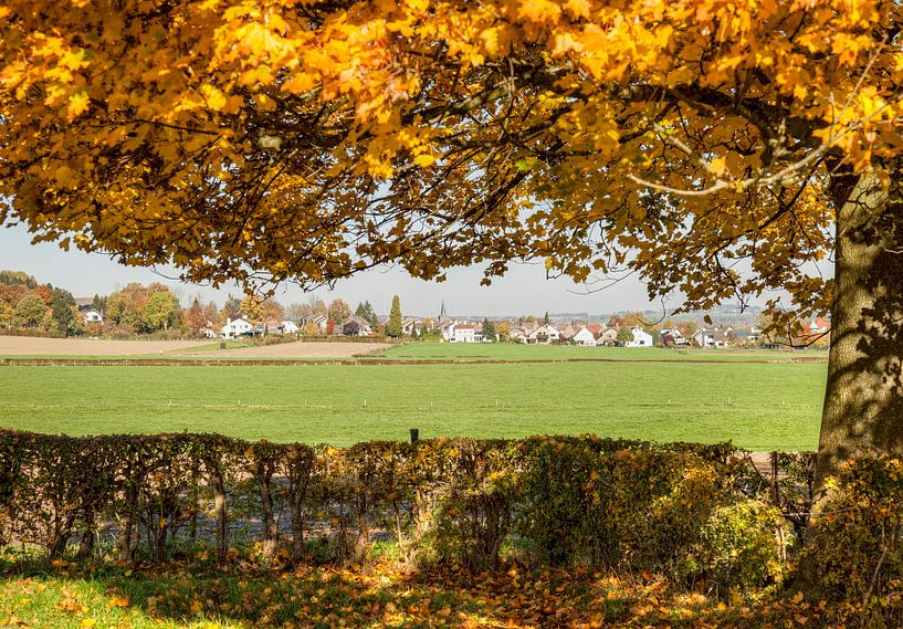 Herfst in Epen Zuid-Limburg van John Kreukniet