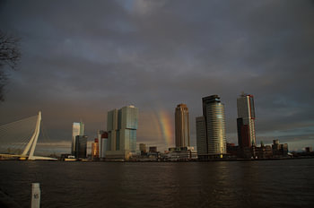 Skyline Rotterdam