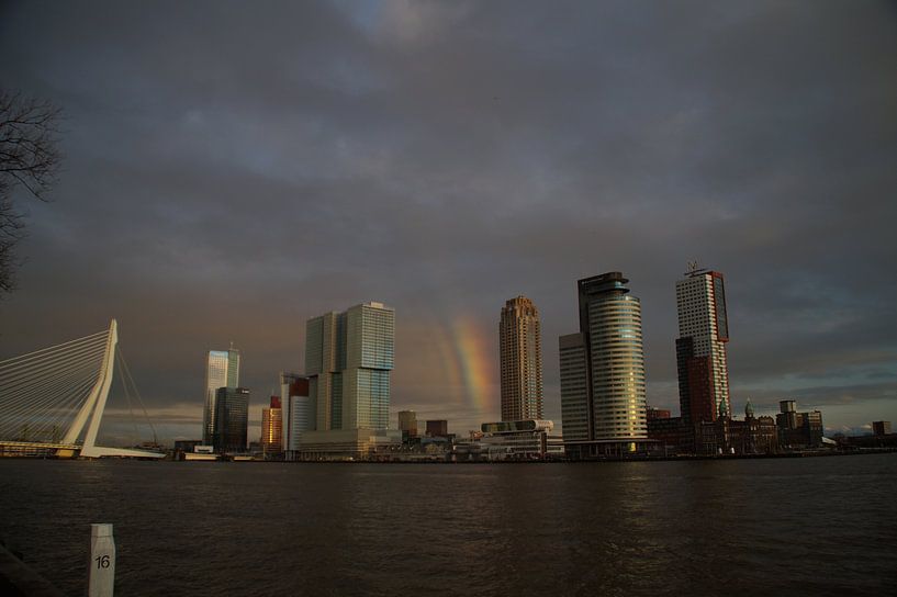 Skyline Rotterdam von Jan Nuboer