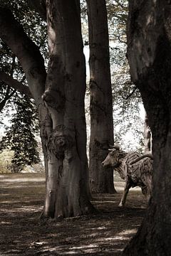 Woodpower: The bull in the woods by Ebelien