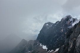 wrested from the bandages of the fog by Wilko Visscher