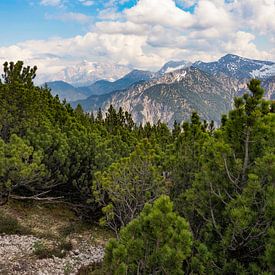 Lechtaler Alpen von Miriam Schwarzfischer Fotografie