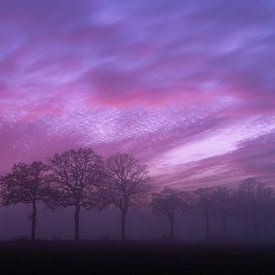 nightsky van Jibbe Vloedgraven