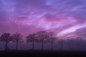 nightsky van Jibbe Vloedgraven