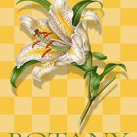 Botany von Marja van den Hurk