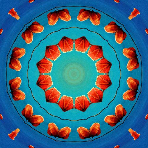 Caleidoscoop van Rode Klaprozen