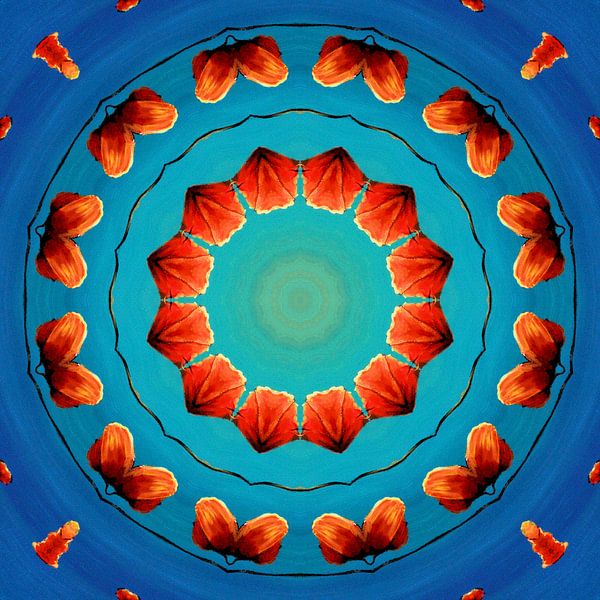 Kaleidoskop aus roten Mohnblumen von Greta Lipman