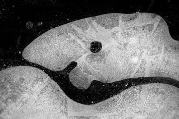 Ice figure in black and white looks like a friendly fish by Karin de Jonge
