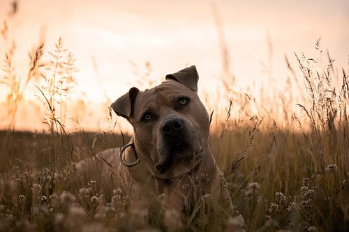 Enjoying in "the Heuve"