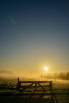 Hekje mist polder van Willian Goedhart