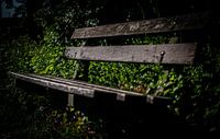 nature takes over