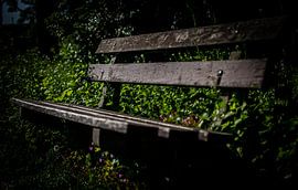 nature takes over by Bernadet van der Werf