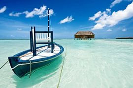 Heaven on earth by Niels Tichelaar