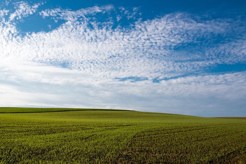 Beau champ avec un ciel de nuages bleus par DroomGans