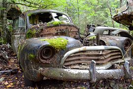 Vintage car in the forest by Bettina Schnittert