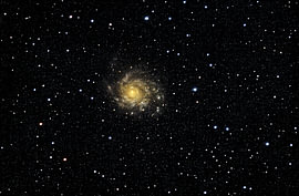 Galaxie M101 von Bram van den Berg