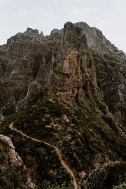Madeira by Inge Pieck