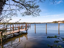 Bootssteg an der Mecklenburgische Seenplatte im Frühling von Animaflora PicsStock