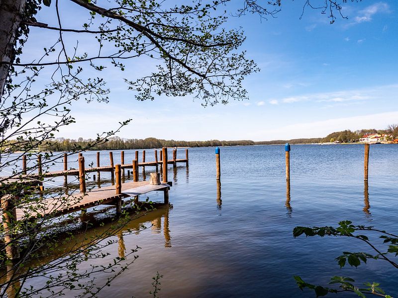 Bootssteg an der Mecklenburgische Seenplatte im Frühling von Animaflora PicsStock