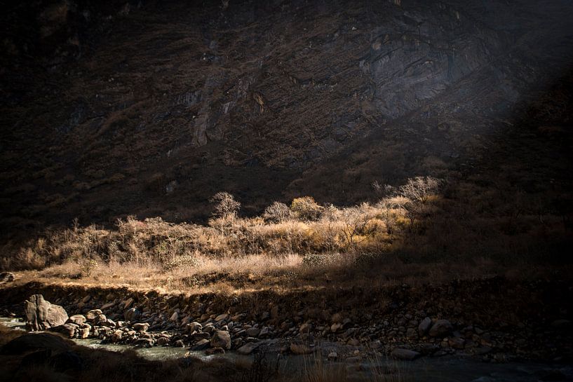 Spotlight by Ellis Peeters