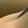 Close-up sand dune. Sahara desert. by Frans Lemmens