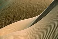 Close-up zandduin. Sahara woestijn. van Frans Lemmens thumbnail