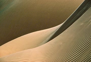 Close-up zandduin. Sahara woestijn. van Frans Lemmens