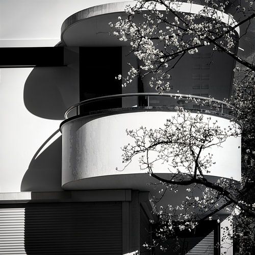 Artistiek Bauhaus ; Chabot Museum in Zwart-wit