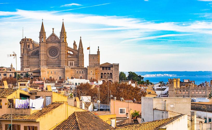 Historic city center of Palma de Mallorca with view of the famous Cathedral La Seu, Majorca Spain by Alex Winter