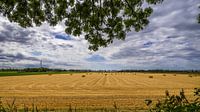 Blick auf das gelbe Land