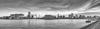 Rotterdam Panorama Maas met 3 bruggen in zwart wit