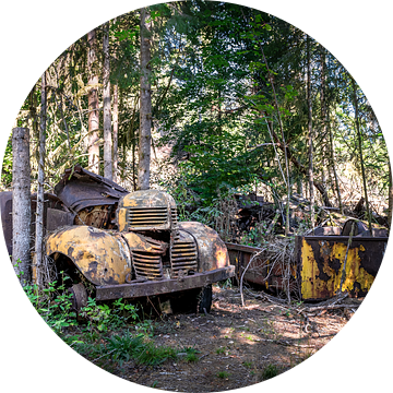 Verlaten pick-up in de Franse bossen van Gentleman of Decay