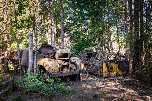 Verlaten pick-up in de Franse bossen