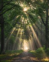 Beam me up!