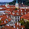 de rode daken in Praag gezien vanaf de Burgt van Elly van Veen