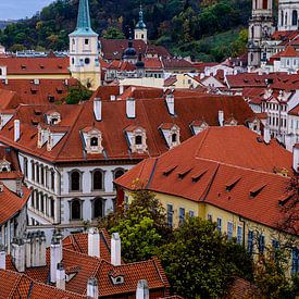 de rode daken in Praag gezien vanaf de Burgt van Elly van Veen