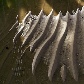 Waterspel. van Henri Boer Fotografie