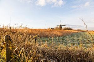 De Kathammer molen van Johan Zwarthoed