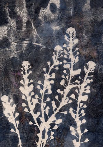 Fleurs de prairie aux couleurs neutres. Botanique japonaise.