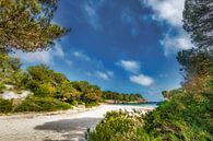 Beautiful bay with beach on the island of Menorca in the sunlight. by Voss Fine Art Fotografie thumbnail