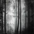 Forêt d'été en noir et blanc par Dirk Wüstenhagen Aperçu