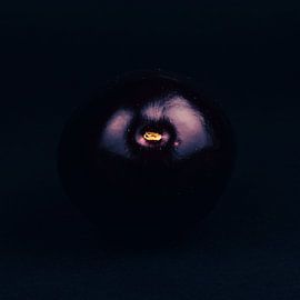 Aubergine