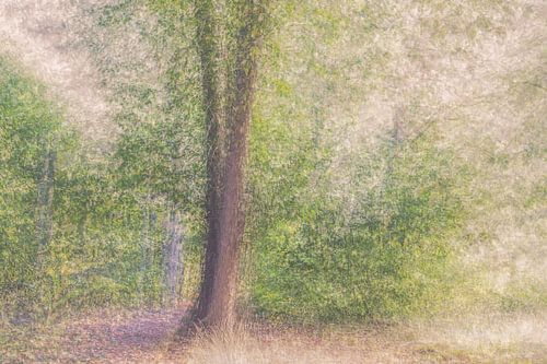 Leersumse veld part 13