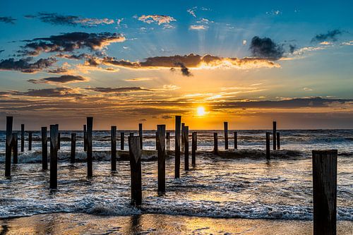 Palendorp, Petten von Ingrid Honders