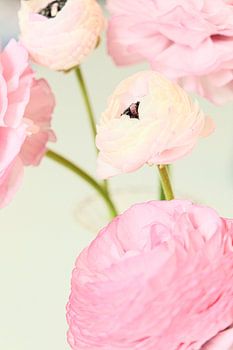 Blumenstillleben in Pastell