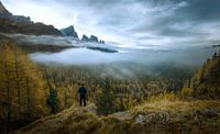 Restoration colours in the Italian Dolomites