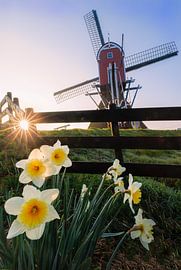Windmolen in de lente van Thijs Friederich
